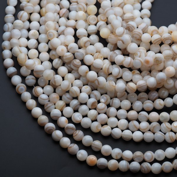 Muszla beżowa jasna - polerowane kulki 8 mm (sznur)