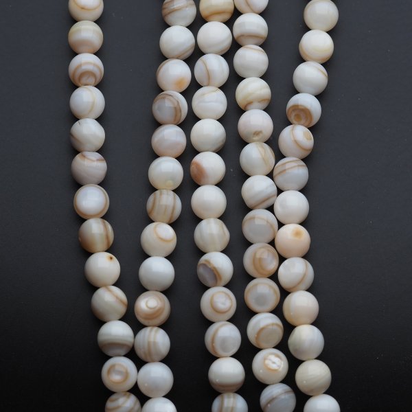 Muszla beżowa jasna - polerowane kulki 8 mm (sznur)