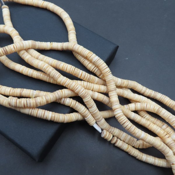 Muszla beżowa - polerowane walce 5x2 mm (sznur 60 cm)