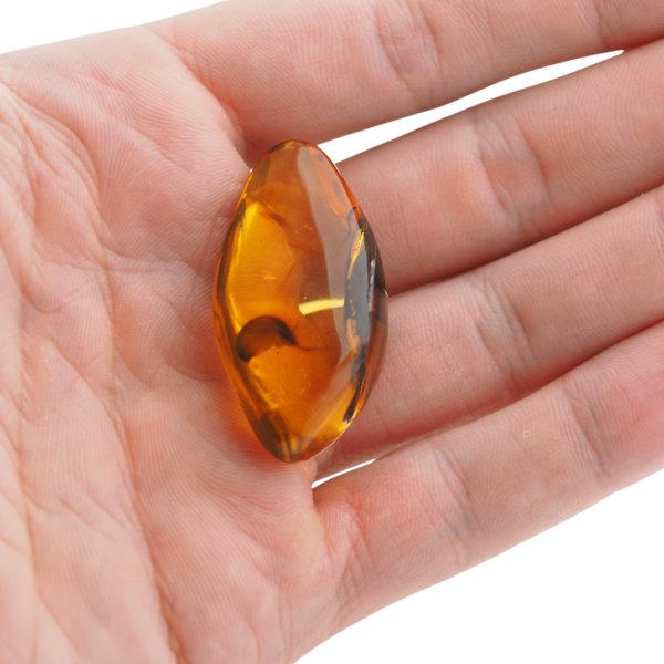 Naturalny bursztyn bałtycki – kaboszon 42x23x13 mm, przezroczysty ze szczątkami organicznymi, obustronnie wypukły