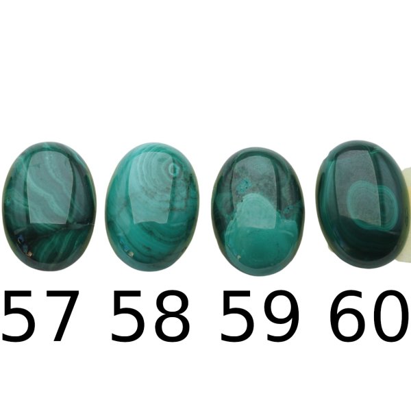 Malachit 25x18x4,5-5 mm owal (sztuka)