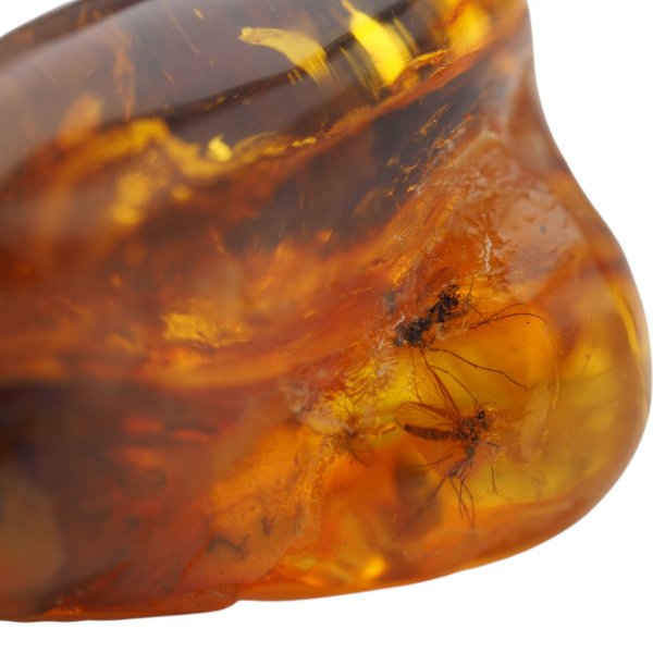 Muchy, inkluzje roślinne w bursztynie i srebro - naszyjnik na rzemieniu