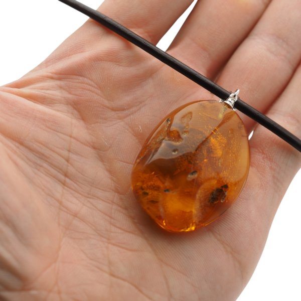 Szczątki roślinne w transparentnym bursztynie i srebro - naszyjnik na rzemieniu