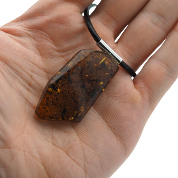 Szczątki organiczne w transparentnym bursztynie i srebro - naszyjnik na rzemieniu