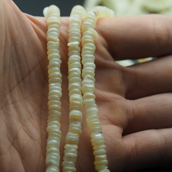 Muszla ecru naturalna dyski 6x1-2 mm – sznur 38 cm