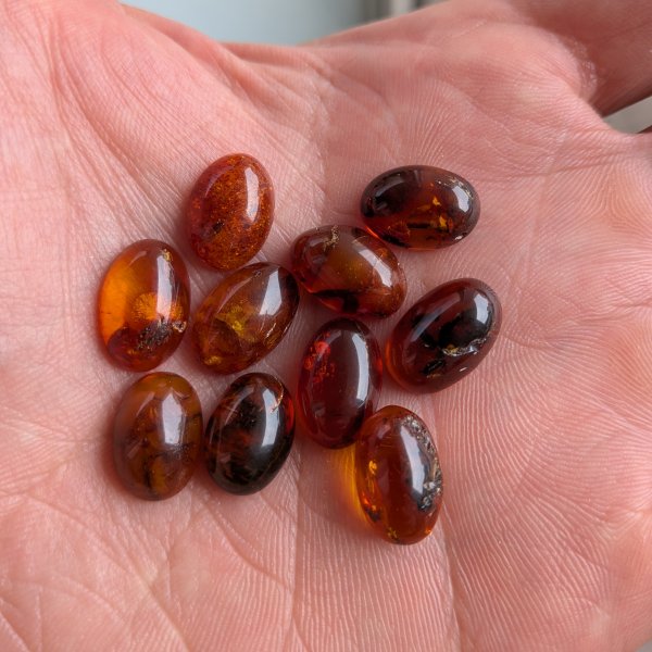 Bursztyn koniakowy kaboszony owalne 14x10 mm – pakiet 10 szt.