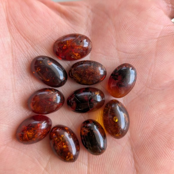 Bursztyn koniakowy kaboszony owalne 14x10 mm – pakiet 10 szt.