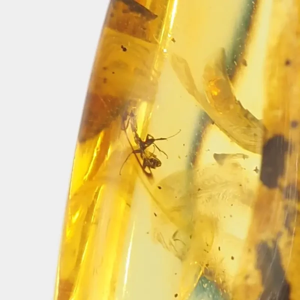 Mrówki w transparentnym bursztynie i srebro oksydowane - zawieszka z rzemieniem