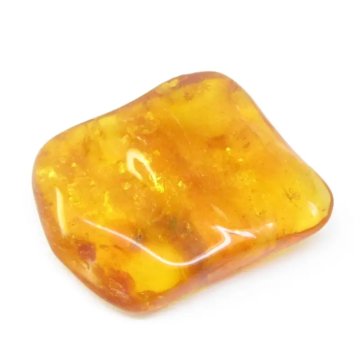 Owady w bursztynie 43x35x11 mm