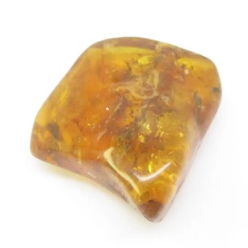 Owad w bursztynie 45x38x15 mm