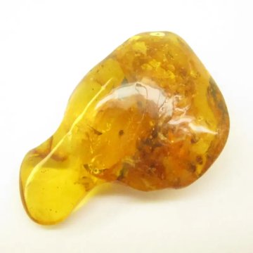 Owady w bursztynie 56x35x16 mm